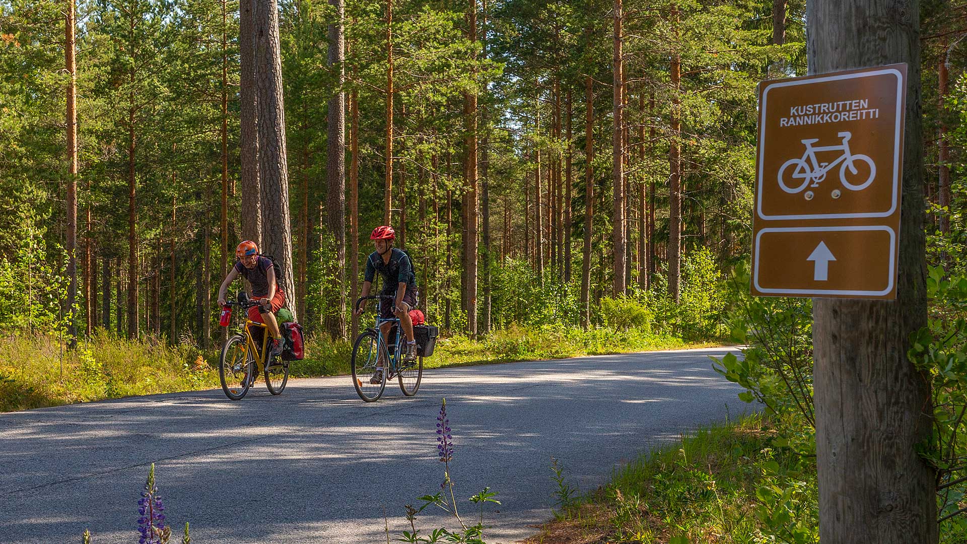 cycling raseborg