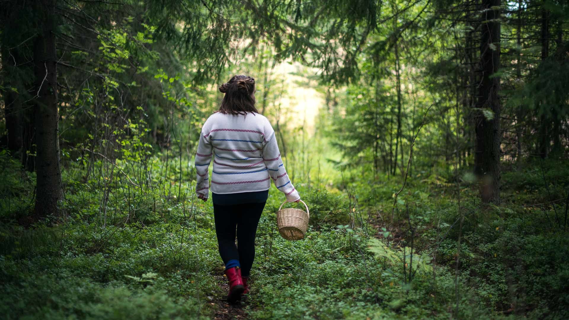 Nainen menossa sienestämään / A woman going mushroom-picking