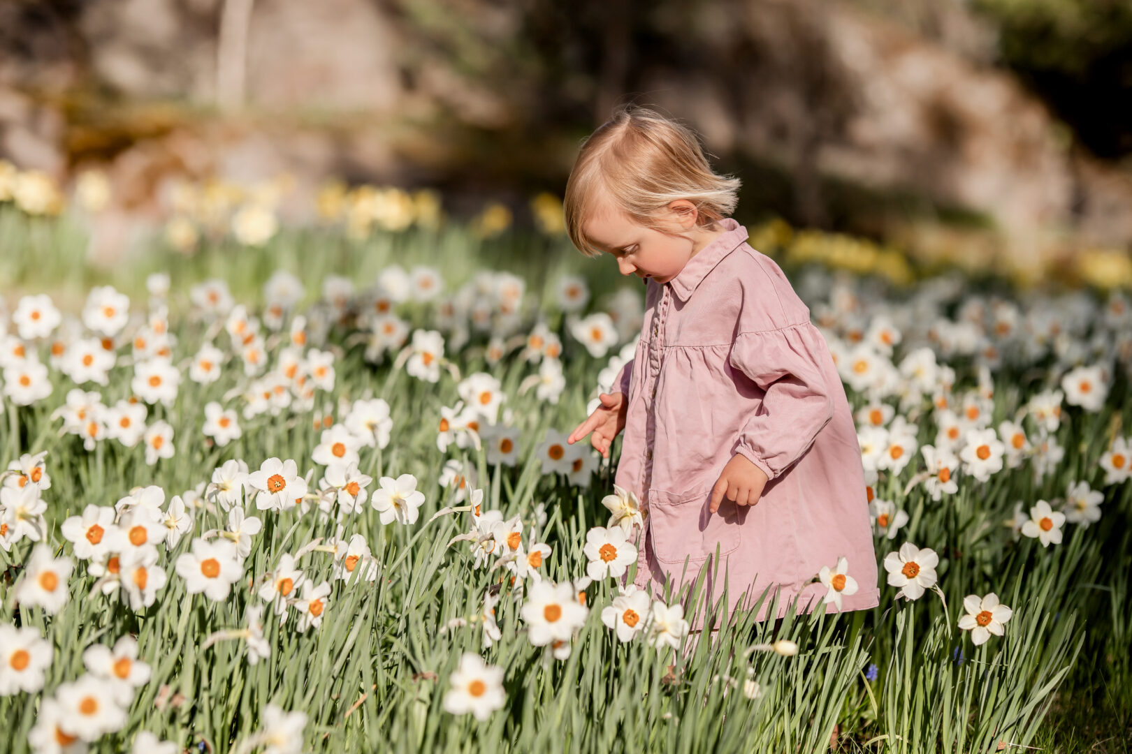 little girl in a sea of spring flowers
